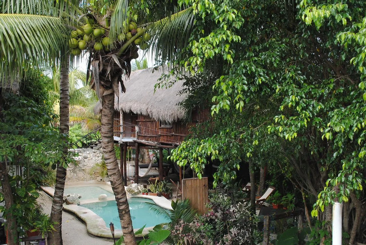 Lobo Inn Tulum Hostal