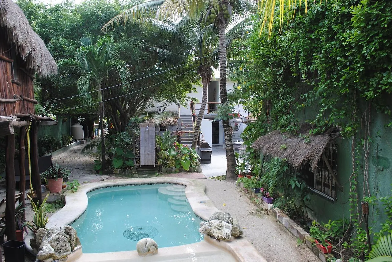 Lobo Inn Tulum