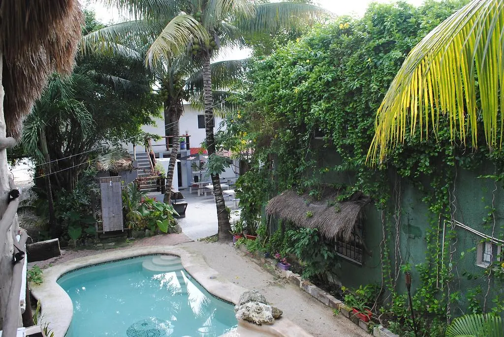 Hostal Lobo Inn Tulum