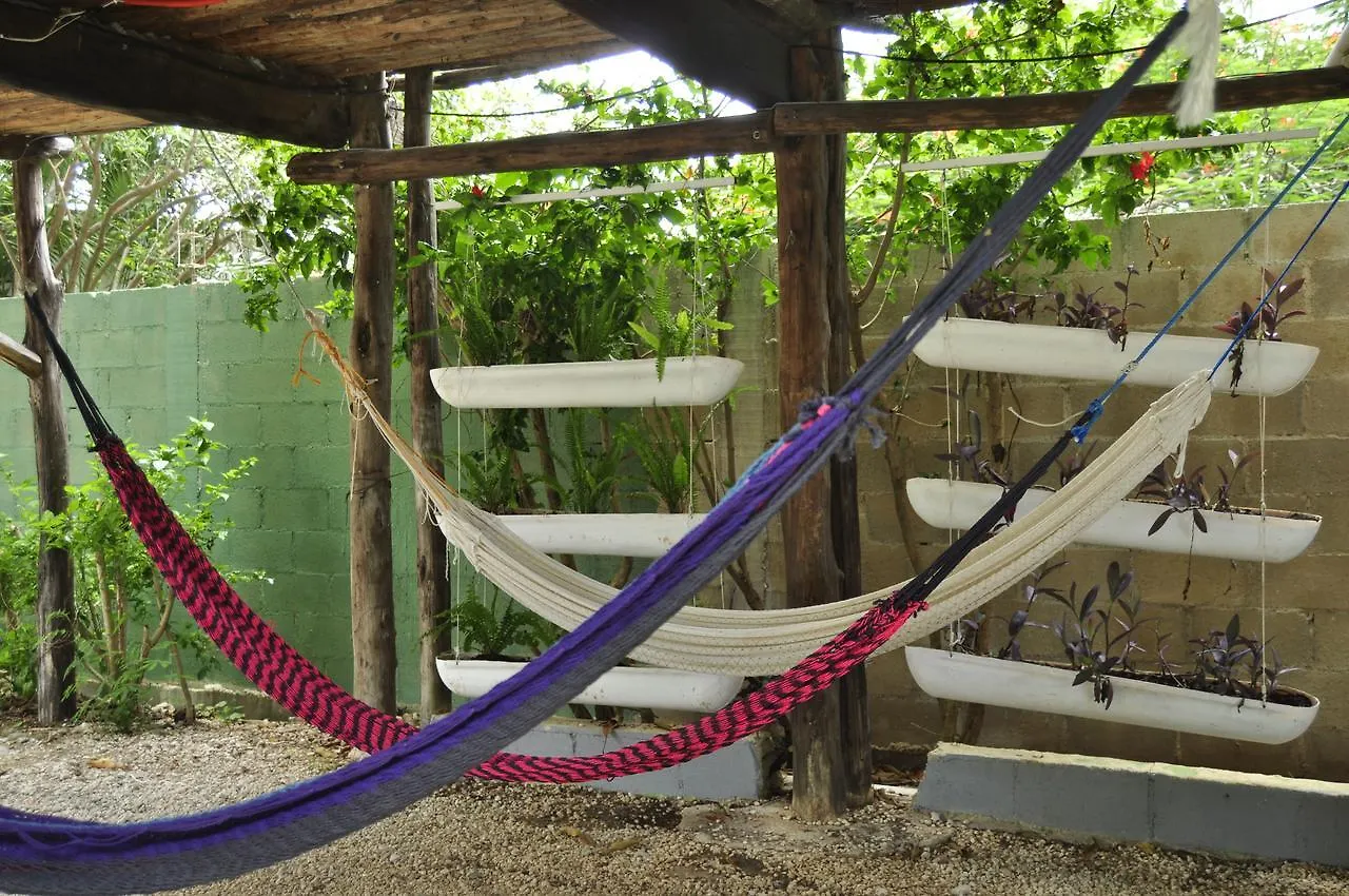 Ostello Lobo Inn Tulum