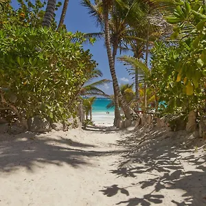 https://hotel-dos-ceibas-eco-retreat.allrivieramayahotels.com